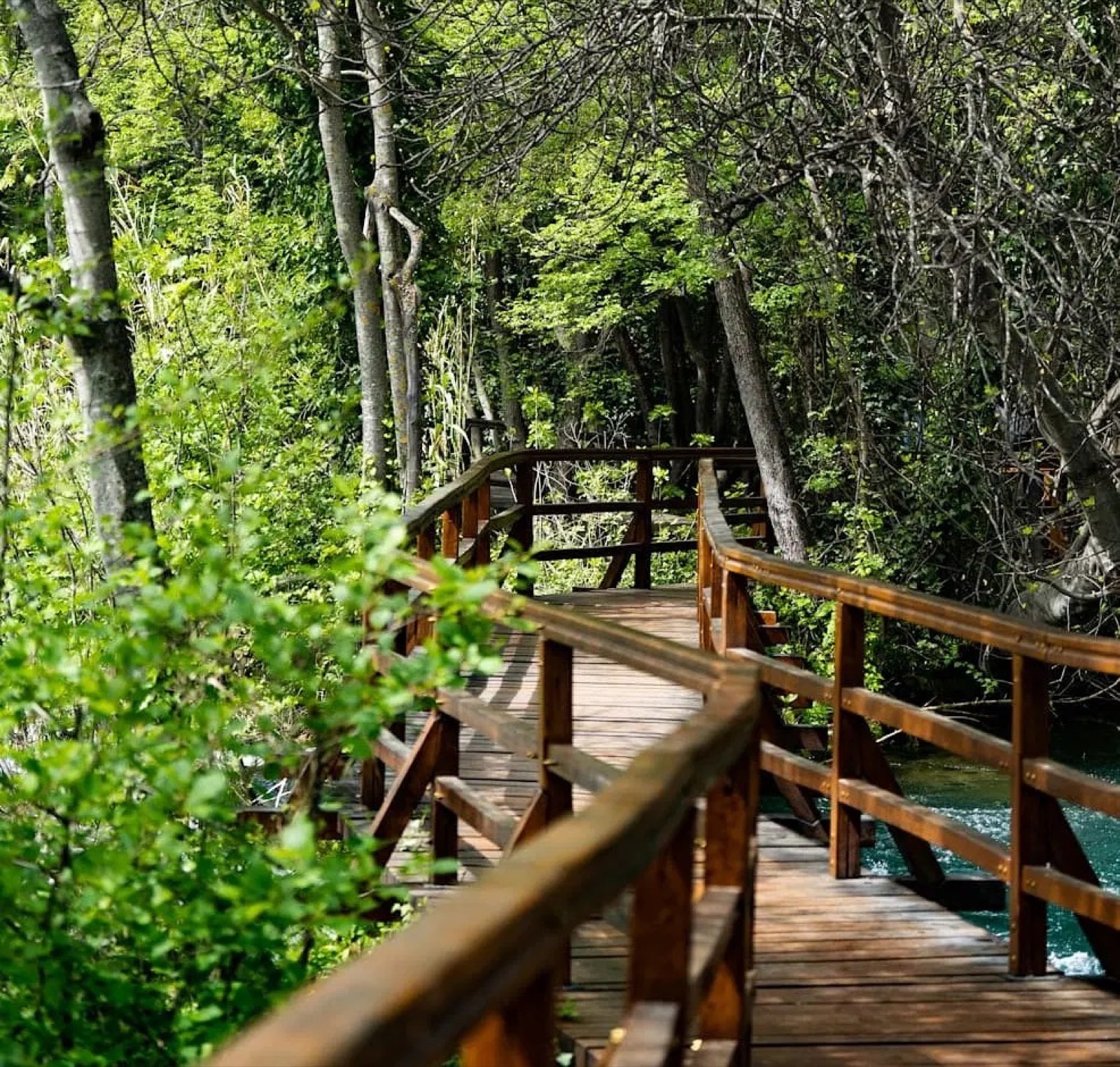 Wooden boardwalk through the forest above the Krka waterfalls